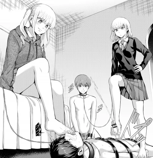 Pets get the best treatment 