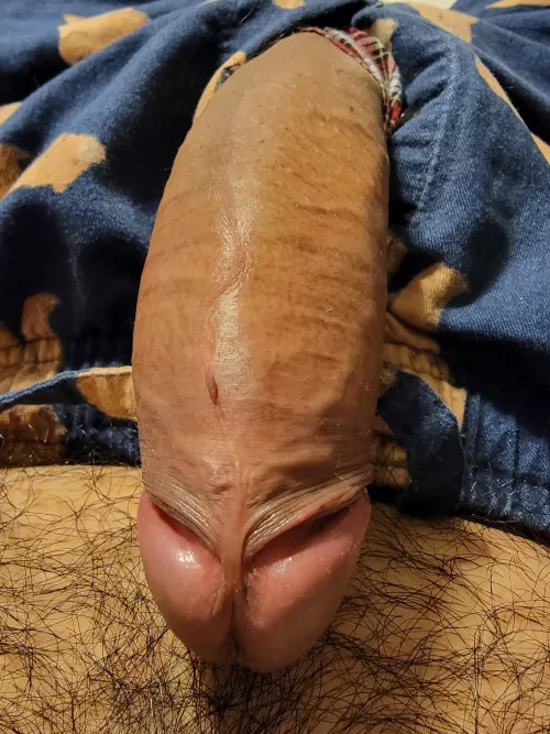 Popping out to say hello