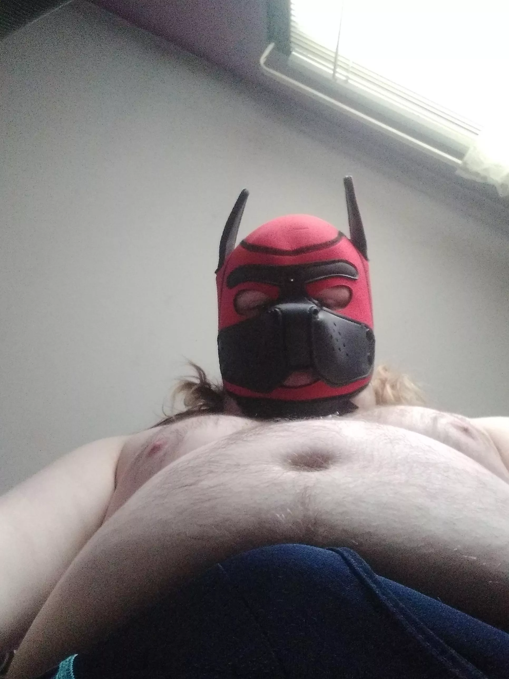 Puppy tried to do the meme~