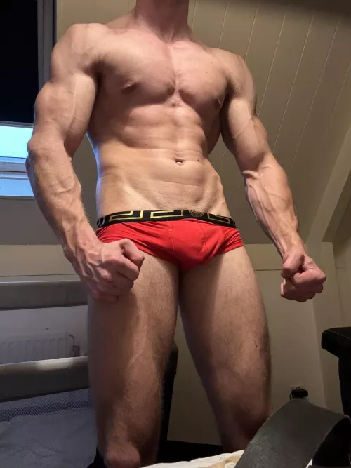 What do you think of my boxer?