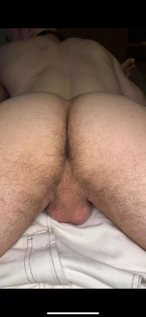 Do you like hairy ass?