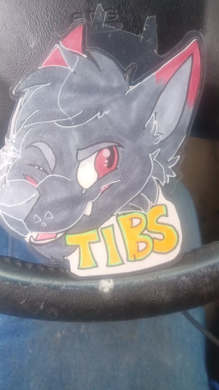 Cleaning out my new suv i found the badge of someone named tibs if this is you id love to talk and share con stories