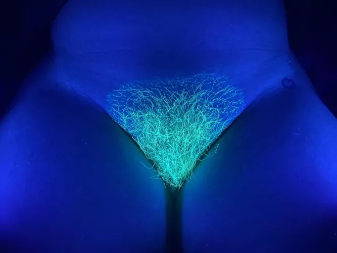 Don’t stare directly at it.  You could get hypnotized!  Xoxo