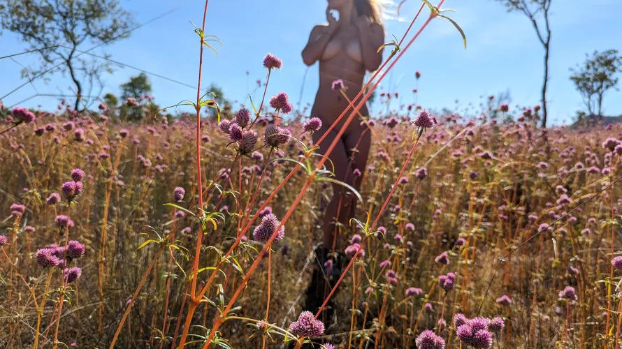 focussed on the flowers