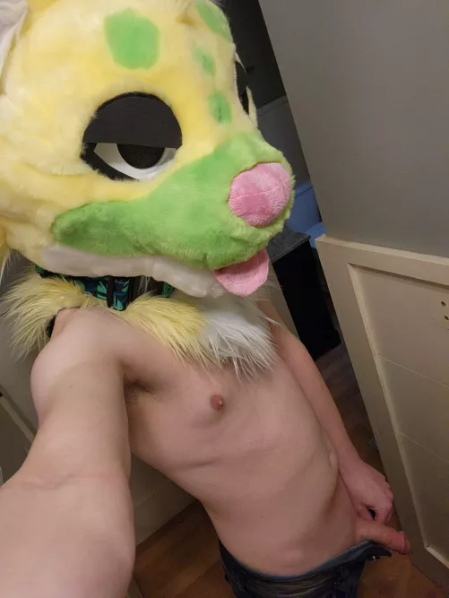 fuck it I'll stop lurking, be nice 👉👈 (24, He/They)