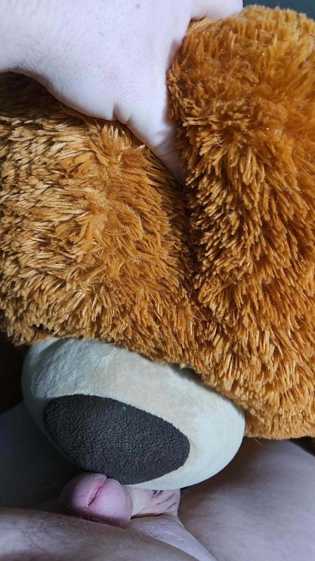 I fucking love this bear 😍♥️🤤