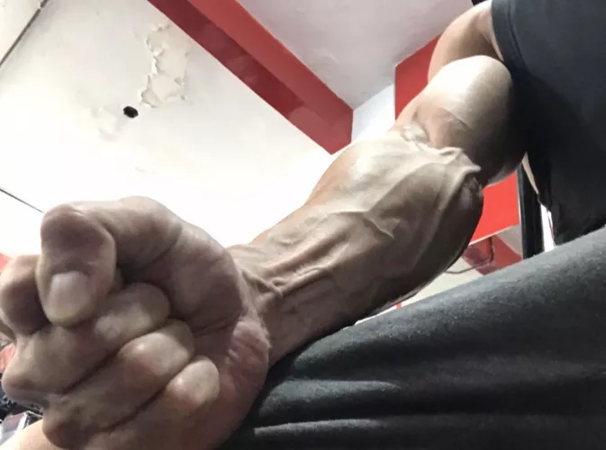 Let's do a forearm routine in the gym