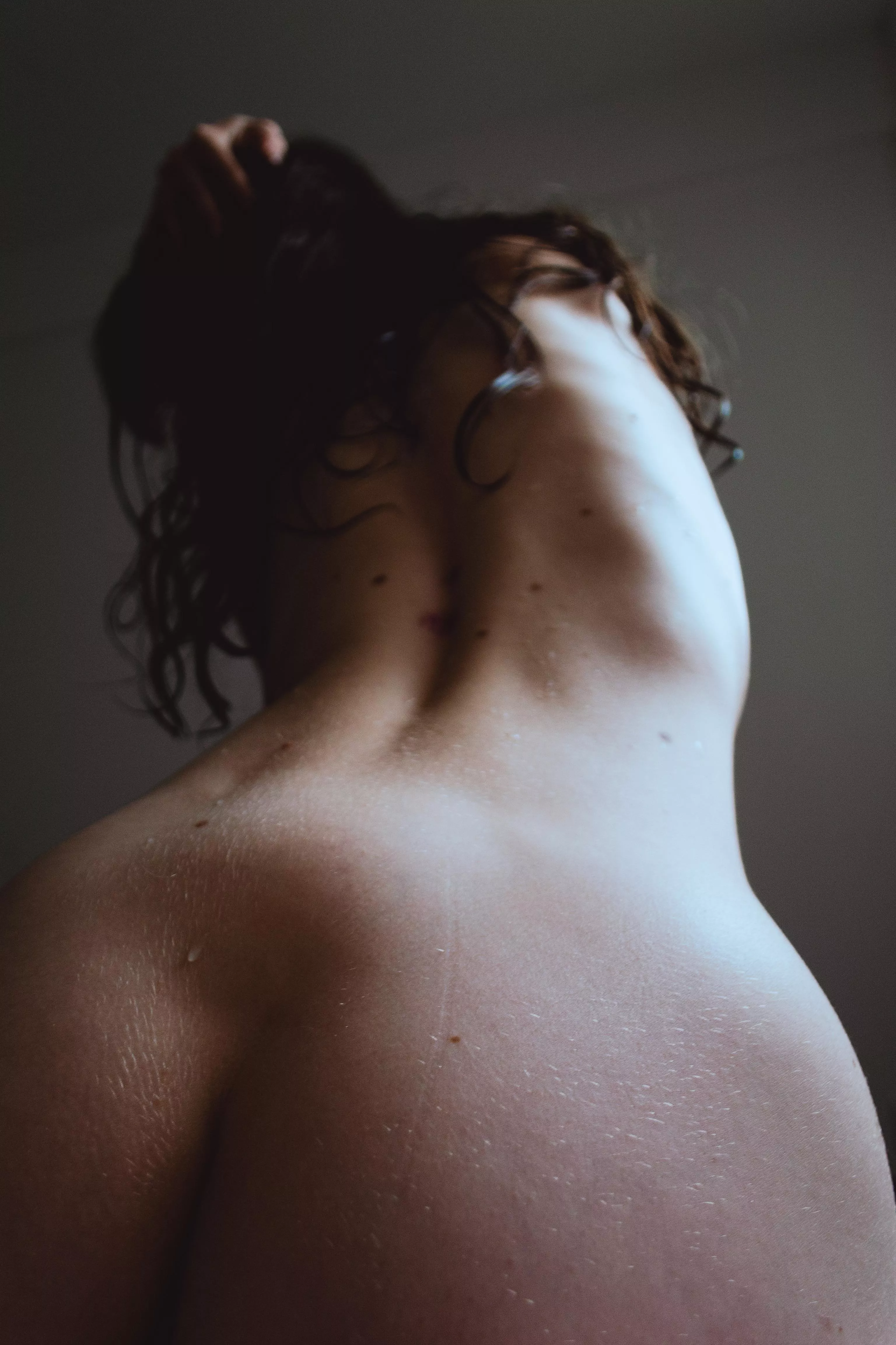 Rib cage from a back view