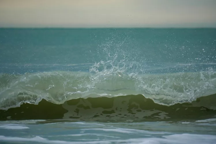 Splish splash Stump Pass Beach Englewood Florida