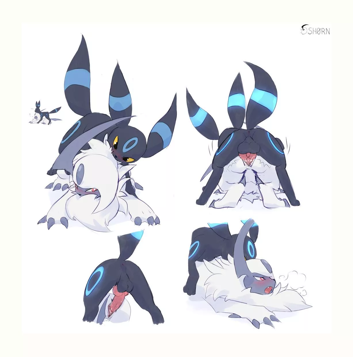 Umbreon snd Absol seem to be having a good time... [MF] [DS_H0RN]