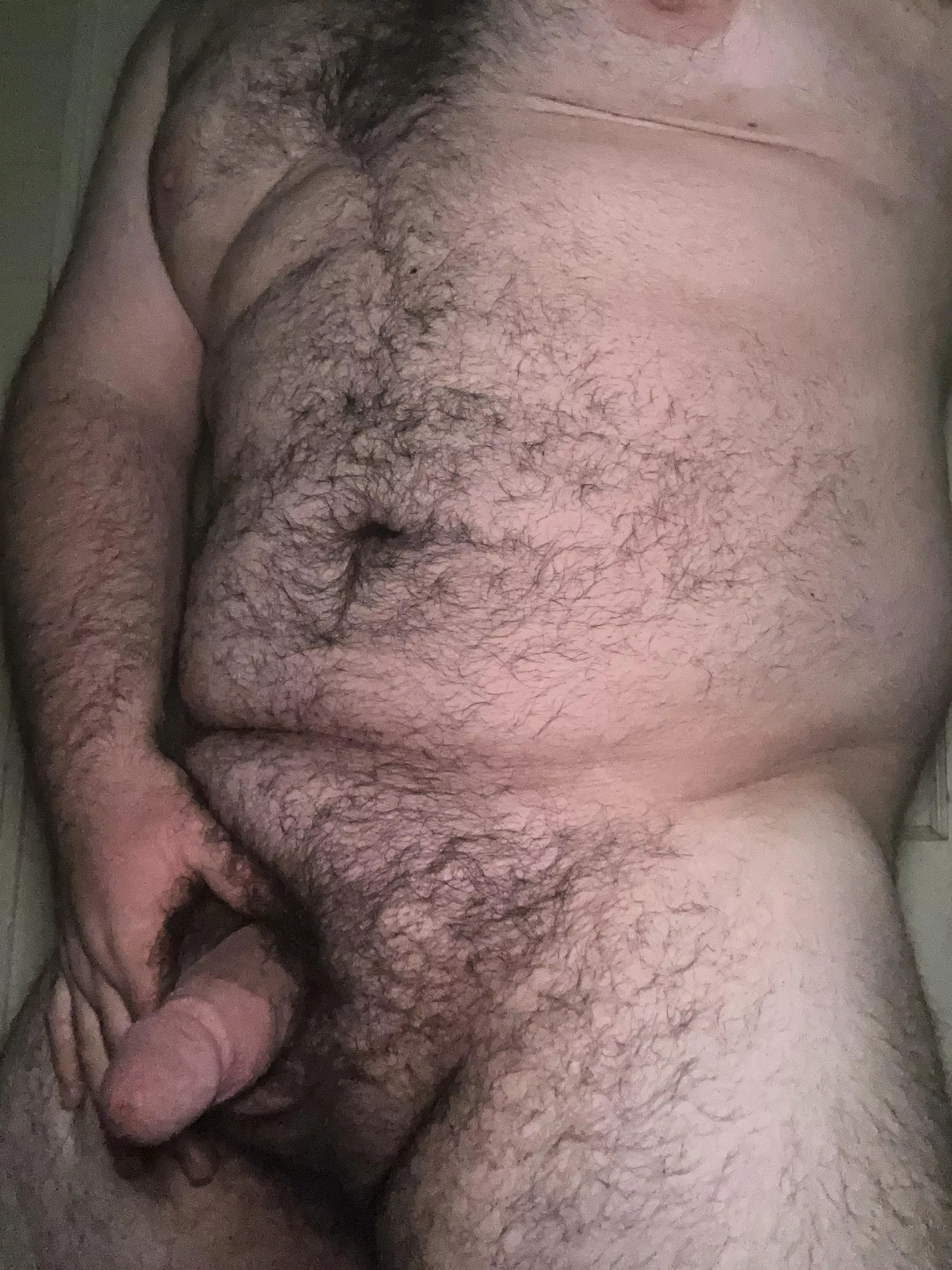 21 college football … bear or cub?