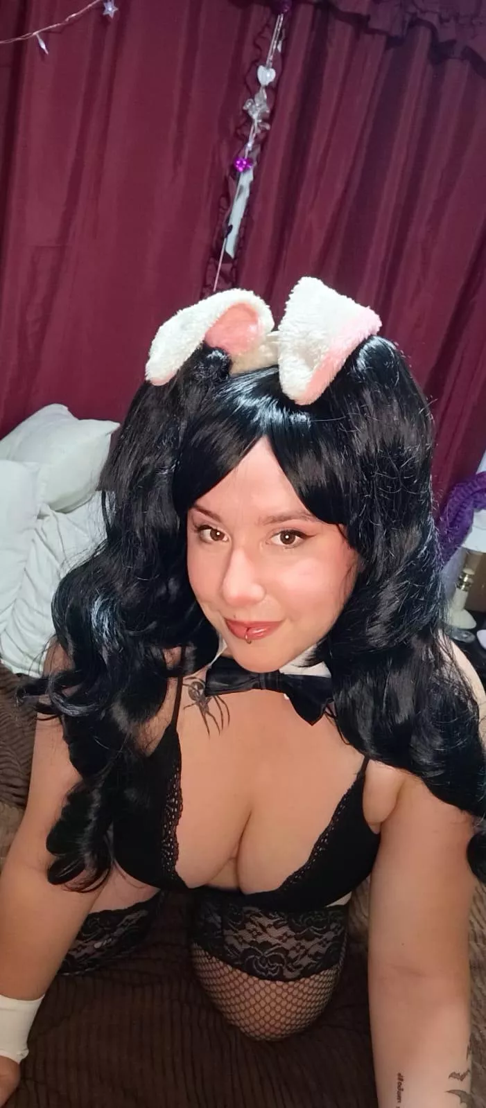 Black bunny