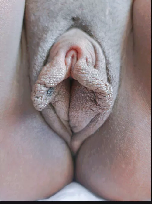 Meaty close up (not OC)