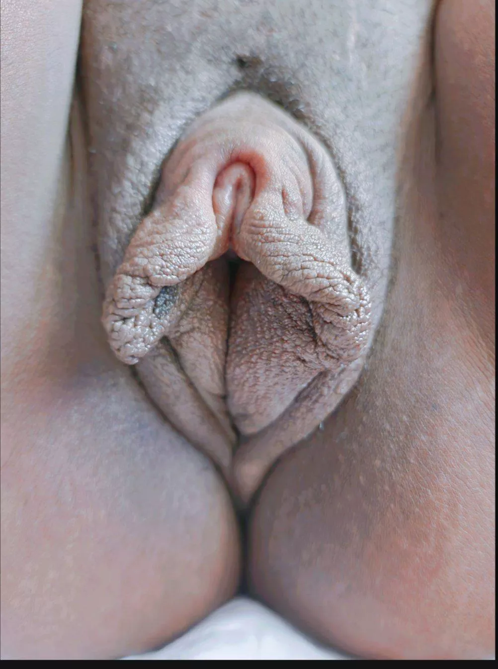 Meaty close up (not OC)