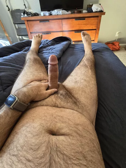 Morning wood was strong this morning