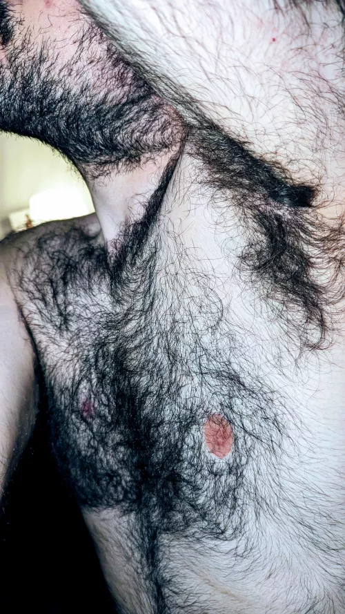 (Not) Extraordin-hairy