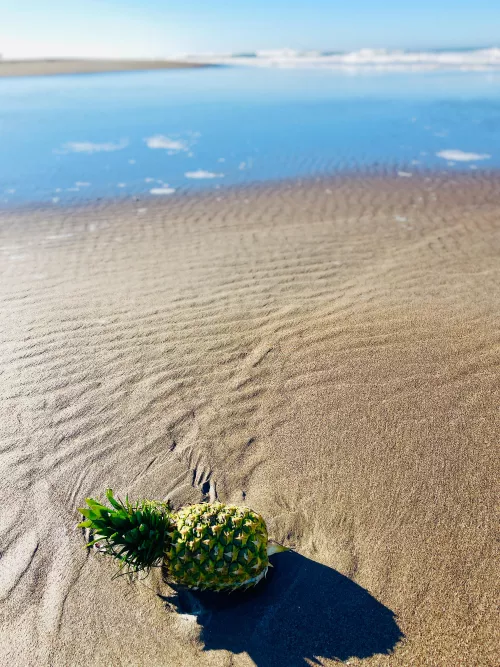 Pineapple on the beach 