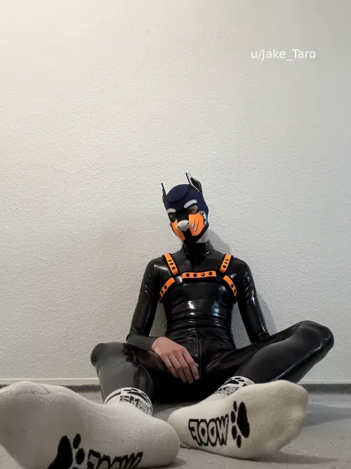 who wants to sniff? ^^