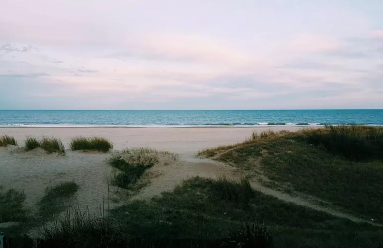 🌊🌊❤️❤️❤️