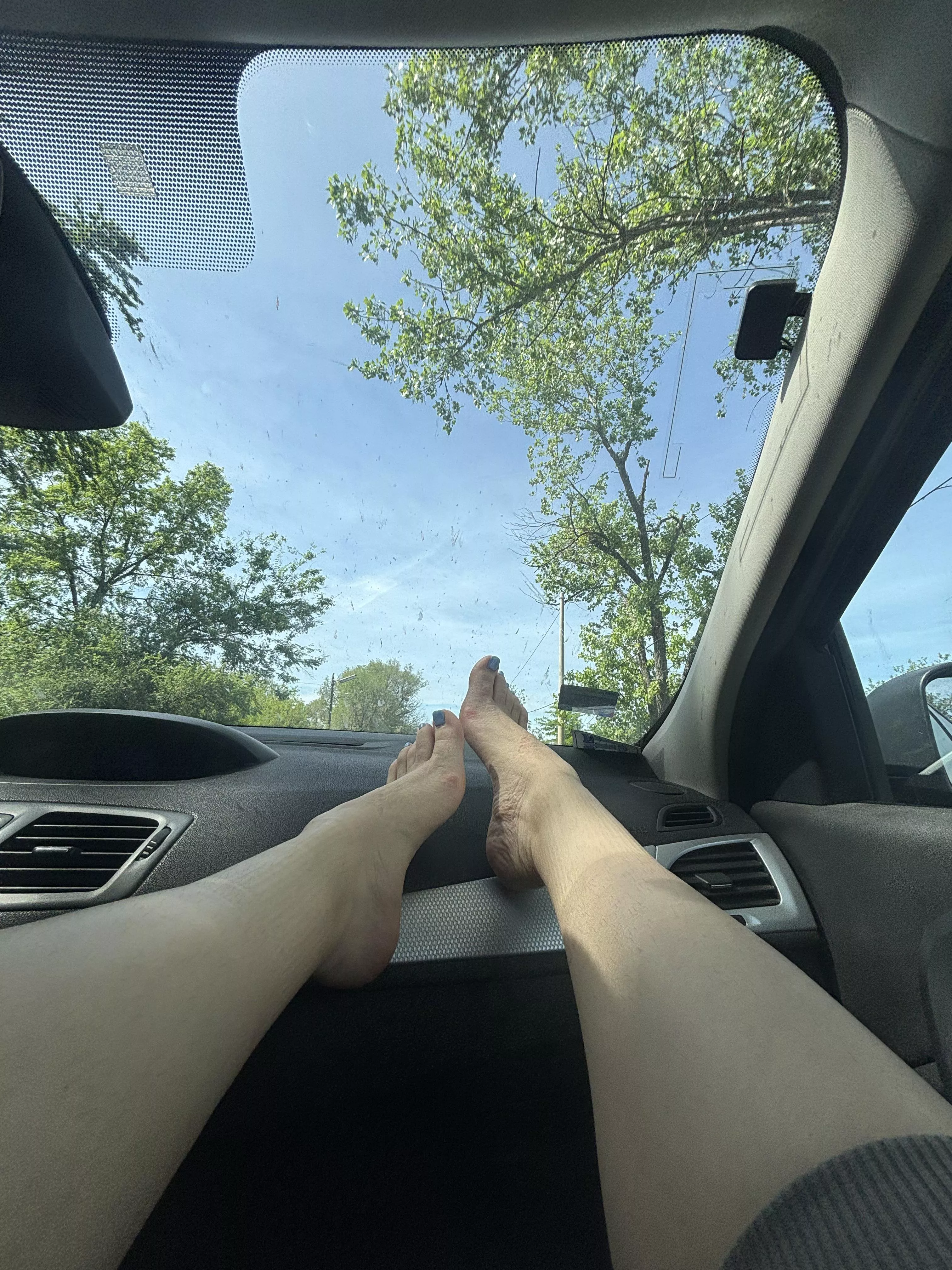 Can I be your passenger princess?