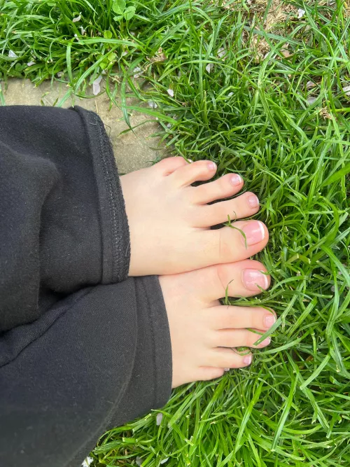Can I shove these pretty french pedichure toes in your mouth ?🥰