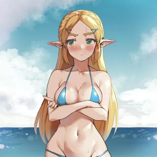 Displeased Bikini Zelda (Monbetsu Kuniharu on Pixiv) [Breath of the Wild]