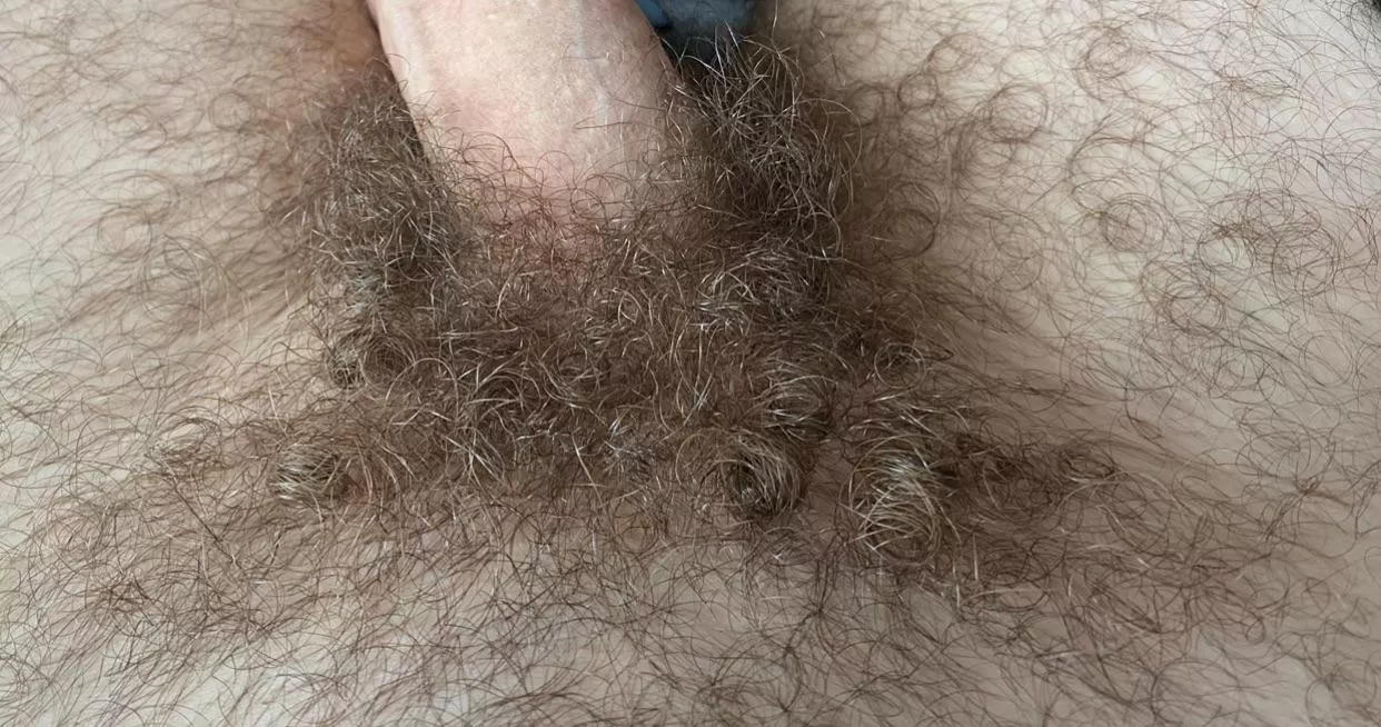 Hairy middle eastern curly pubes