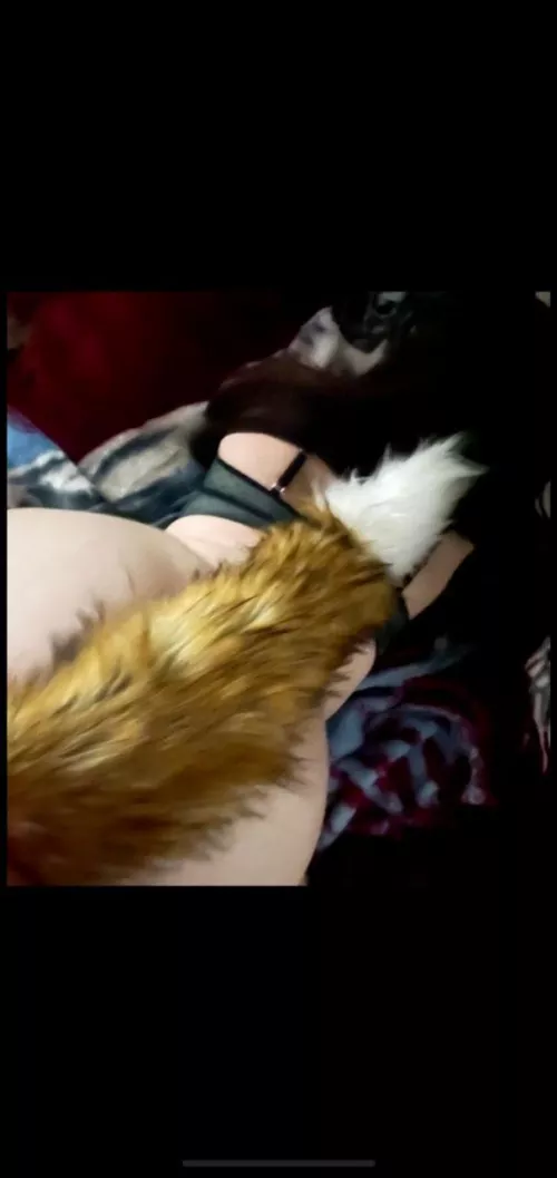 I love how my tail looks