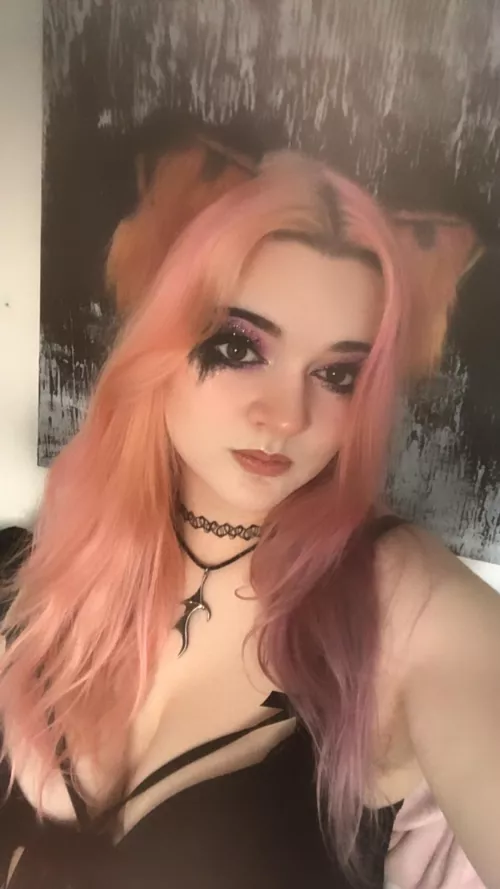 Pet me and I’ll purr 🐱