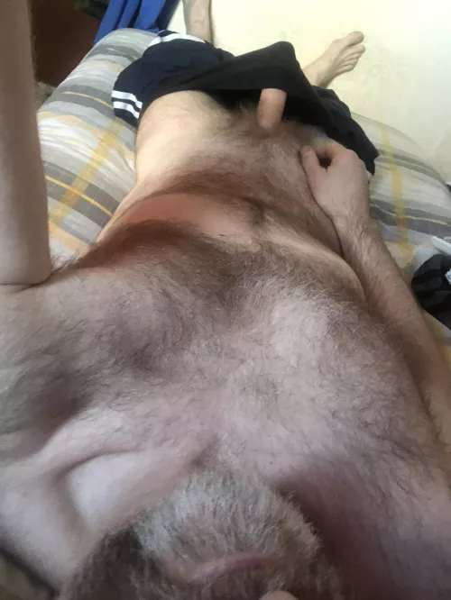 [48] English Silver Fox