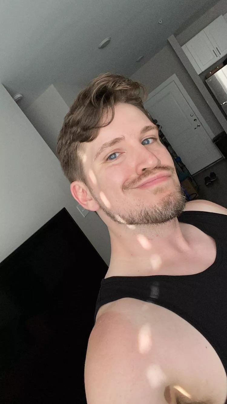 Anyone else play CK2/3 or Super Animal Royale ?