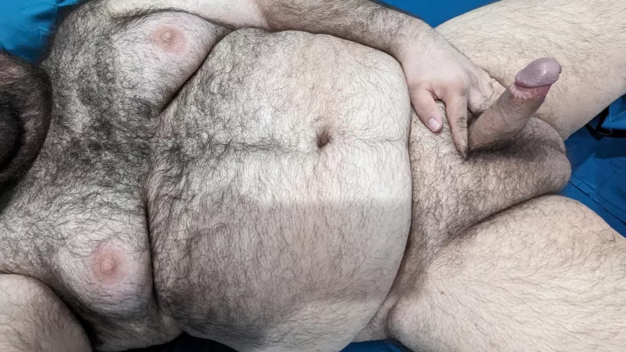 Breeding stud in need of breeding stock.