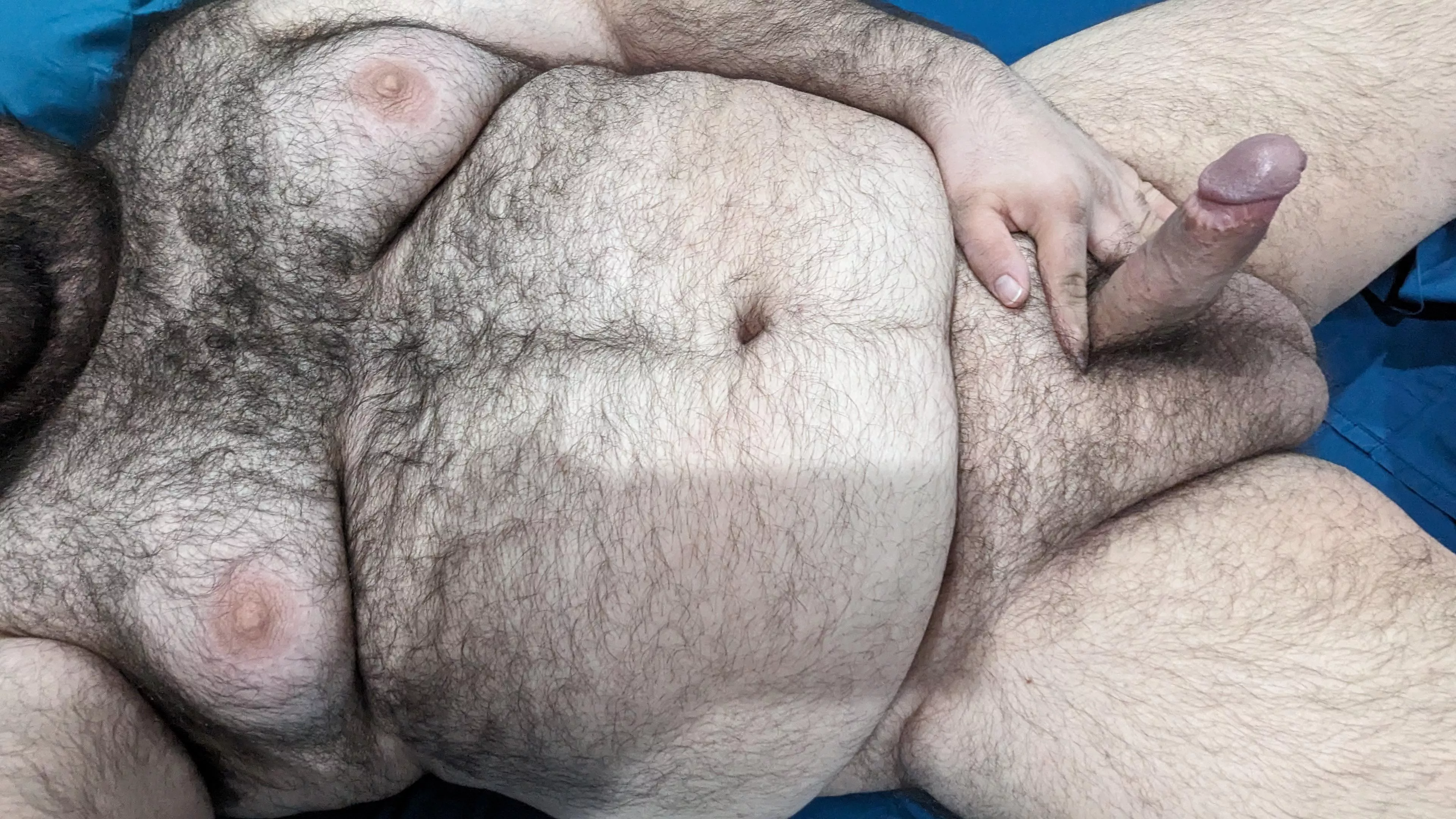 Breeding stud in need of breeding stock.