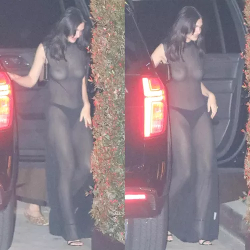 Emily Ratajkowski See Through