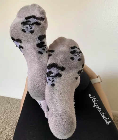 Fuzzy wuzzy was a bear, how soft and smelly was his hair!