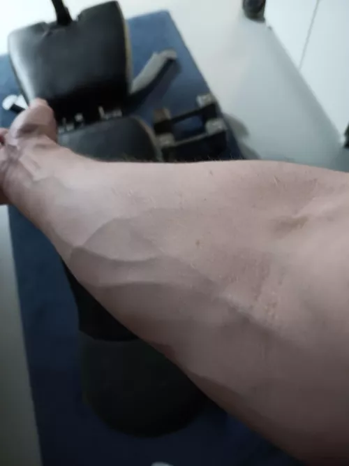 Getting there a little bit at a time 