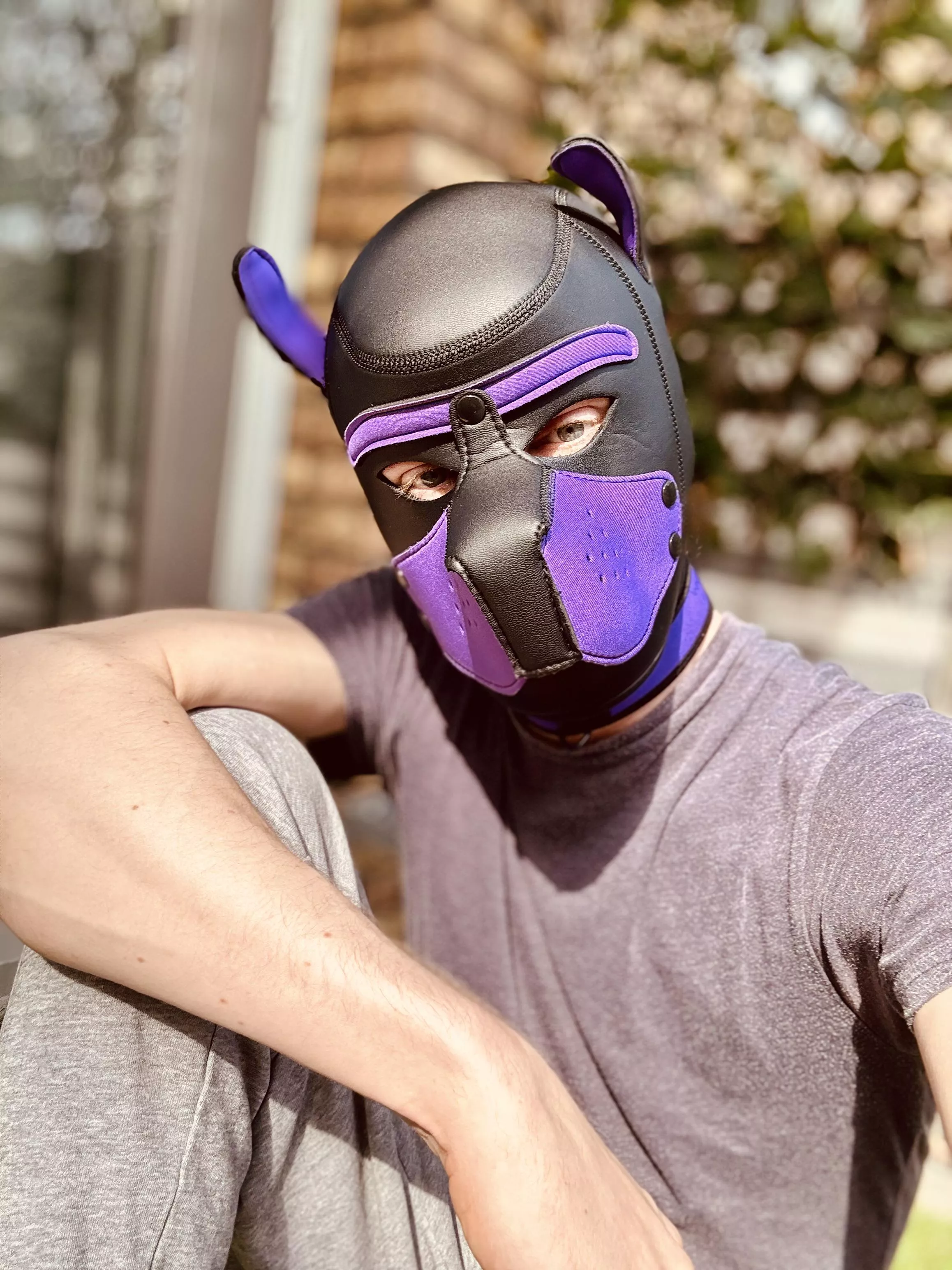 Have a woofderfull day you all! 💜🐶