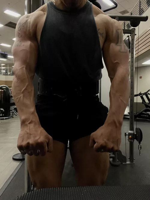 Want my arms and forearms full of veins 