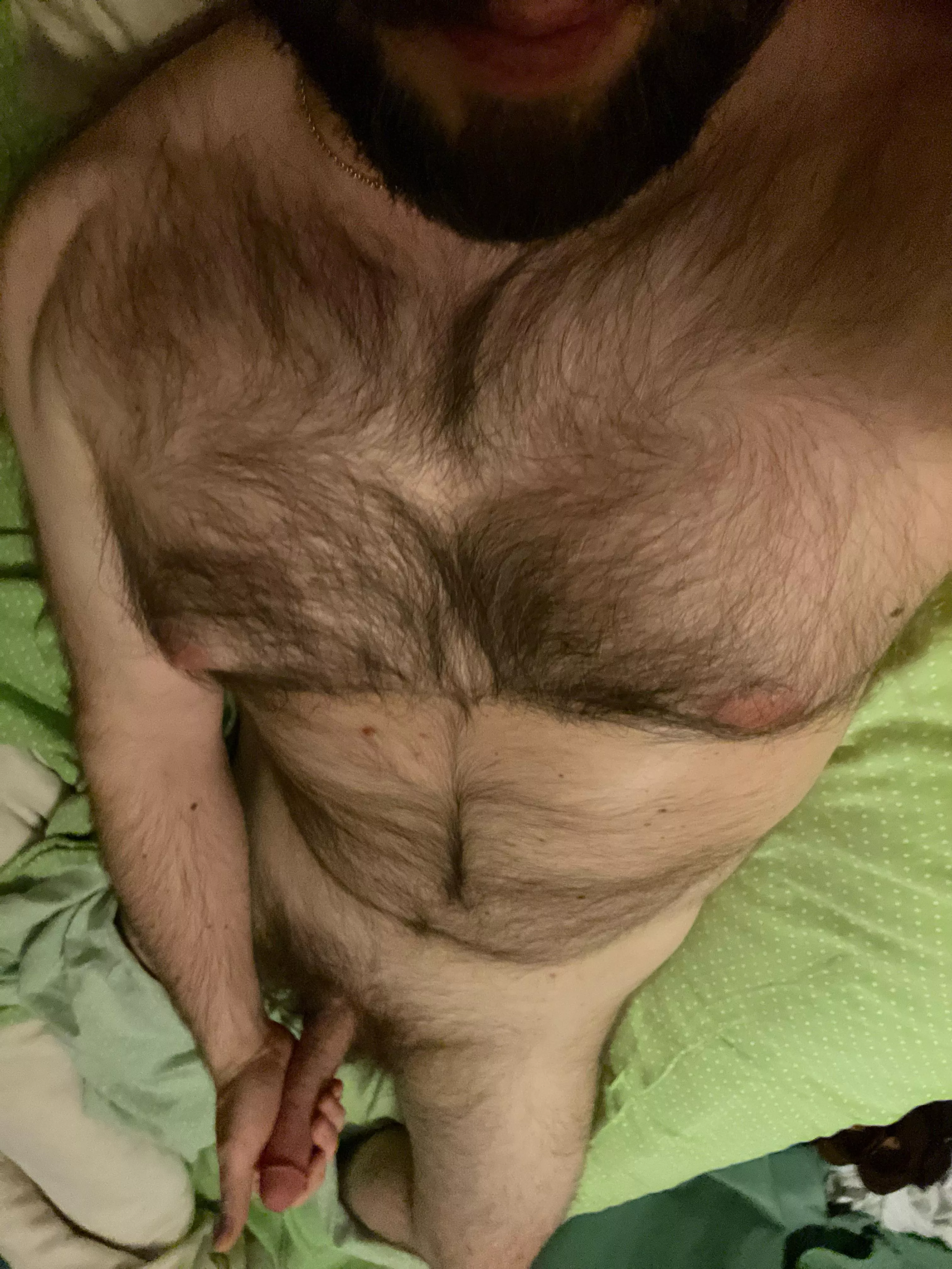 [36] hairy masculine looking to jerk with similar men
