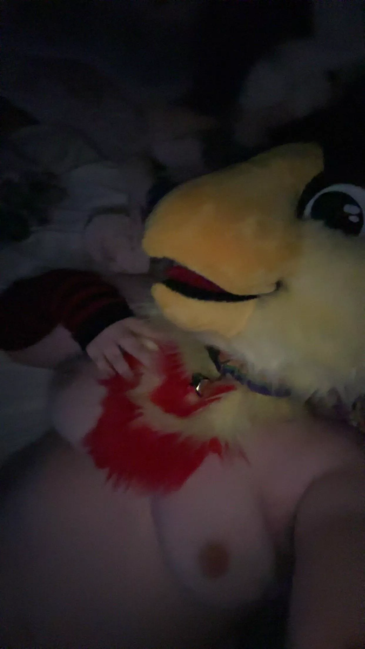 Come enjoy this pretty bird~ {she/he} 