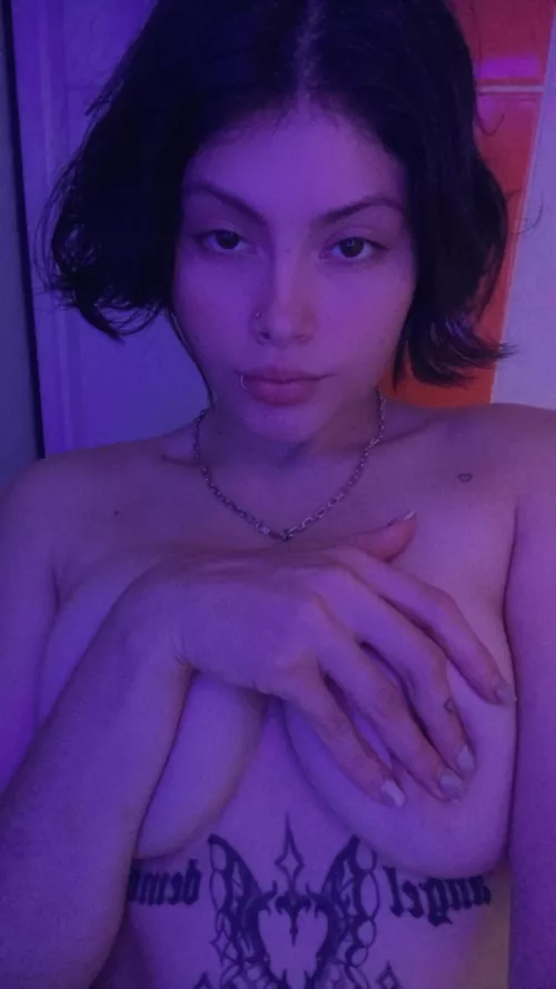 Hey shorthair lovers <3