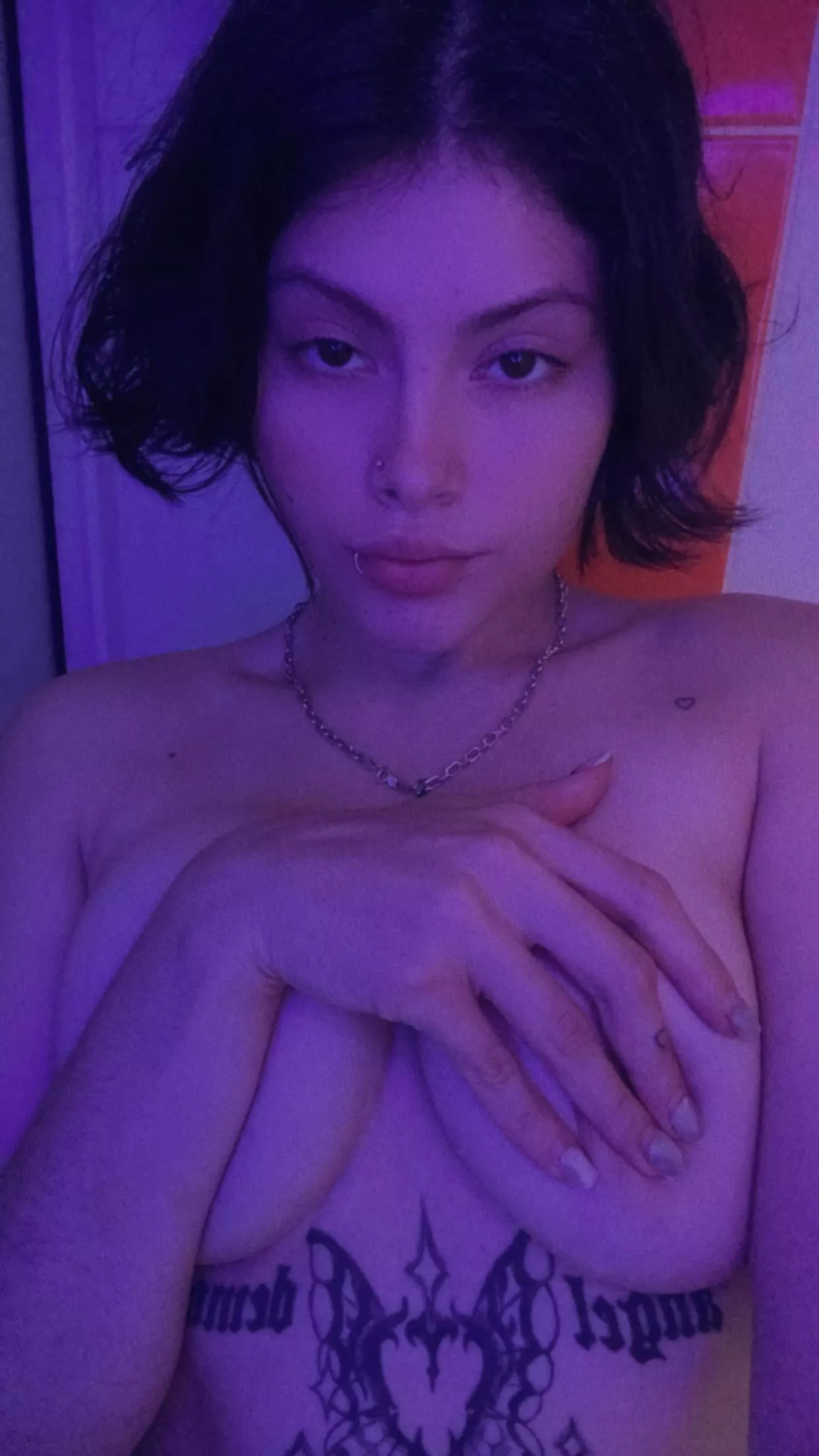 Hey shorthair lovers <3