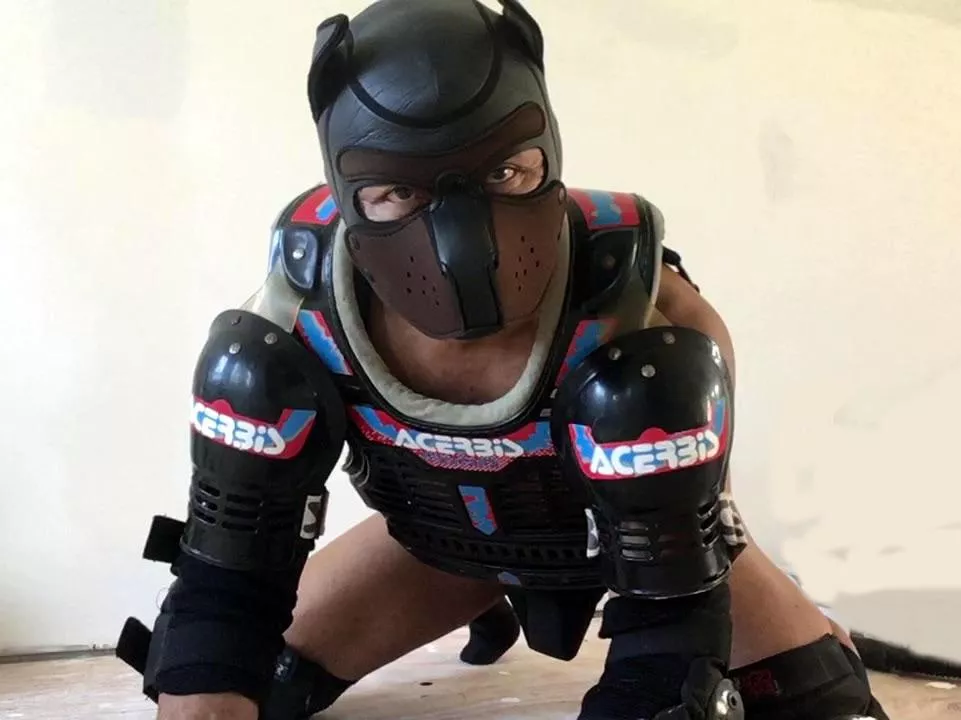 Protective puppy armor: for those wruff n tumble occasions