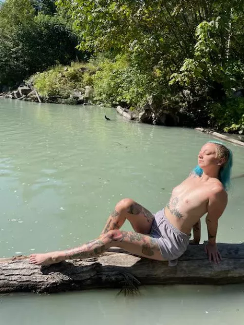 soaking up the sun like a lizard