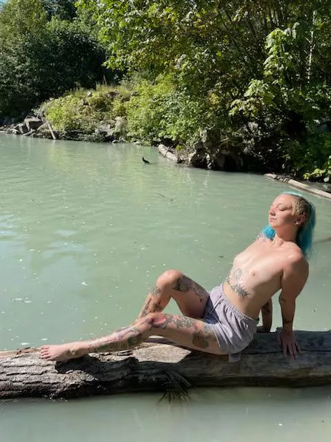 soaking up the sun like a lizard