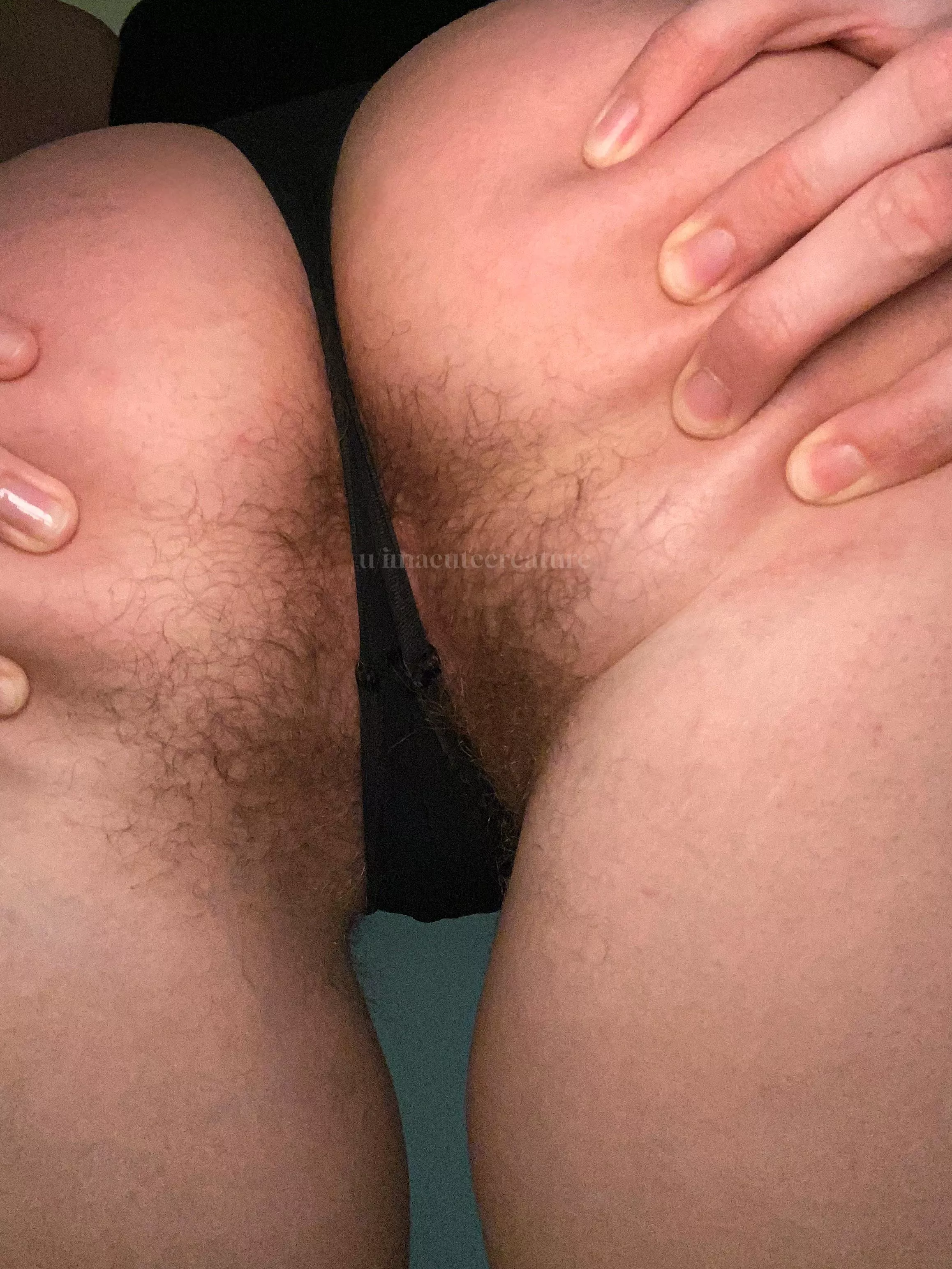 W[h]at will you do when I sit on your face?