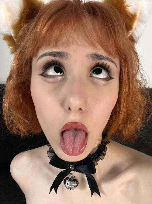 Will you let me taste your sweet cock?