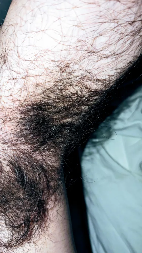 YAHA (Yet Another Hairy Armpit)