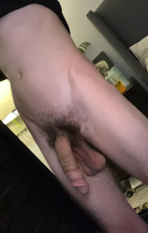 21 looking to jo with other fit/hung 