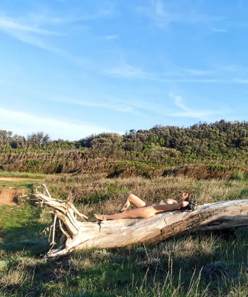 A biker drove by and I just closed my eyes and pretended I didn't see him [img] 